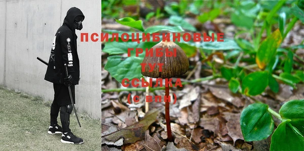 ALPHA-PVP Осташков