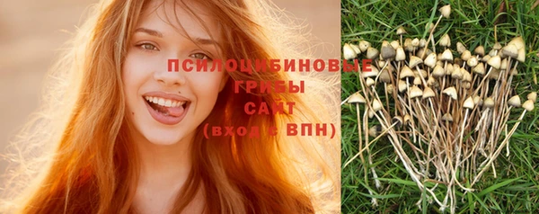 мет Осинники