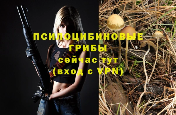 твердый Няндома