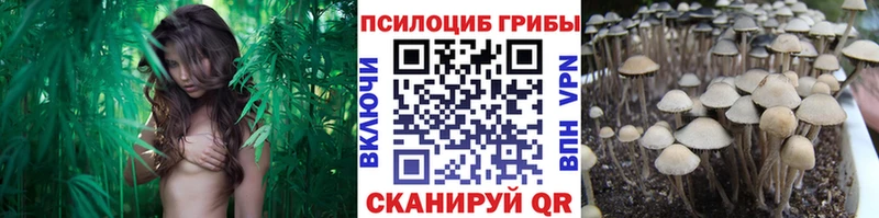 где купить наркоту Крымск Галлюциногенные грибы Magic Shrooms