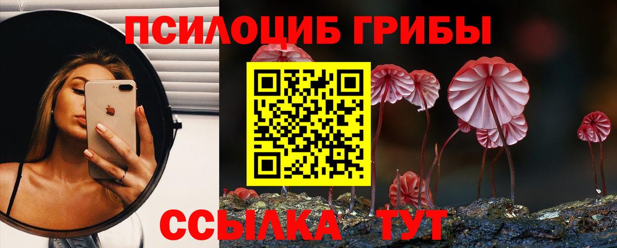 Псилоцибиновые грибы Psilocybe  наркота  Крымск  Галлюциногенные грибы Psilocybe 
