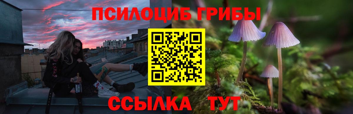 Крымск  Псилоцибиновые грибы MAGIC MUSHROOMS  Вход с VPN 
